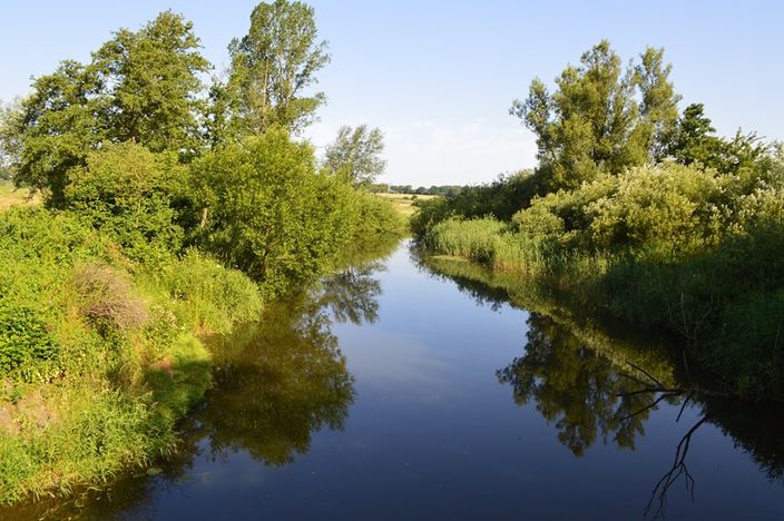 Asv Schleswig Asv Schleswig